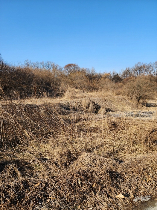 충청북도 충주시 동량면 대전리 1317-6 전 경매 사진 12