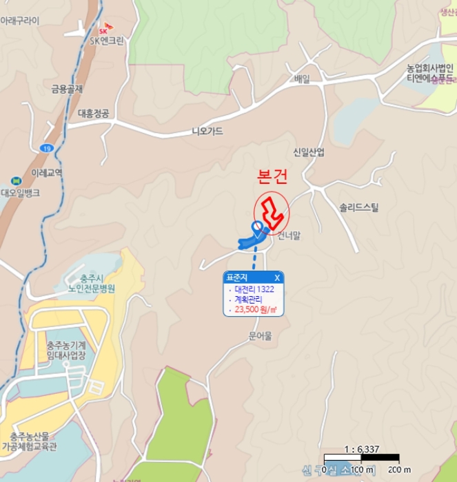 충청북도 충주시 동량면 대전리 1317-6 전 경매 사진 15