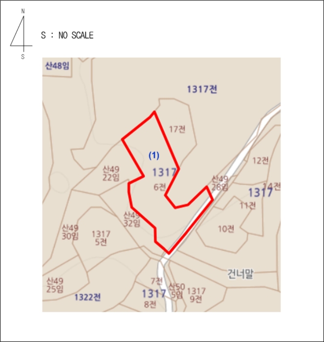 충청북도 충주시 동량면 대전리 1317-6 전 경매 사진 16