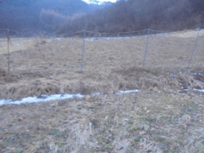 충청북도 충주시 앙성면 중전리 700-2 외 3필지 전 경매 사진 11