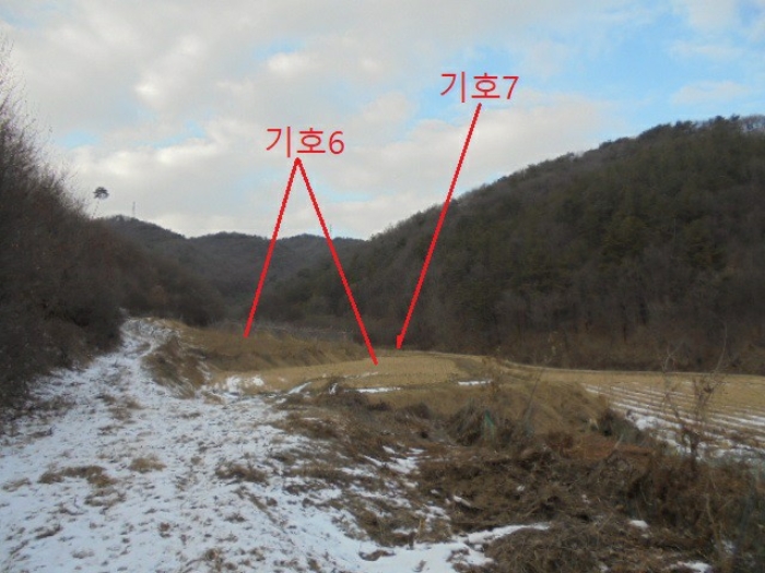 충청북도 충주시 앙성면 중전리 700-2 외 3필지 전 경매 사진 13