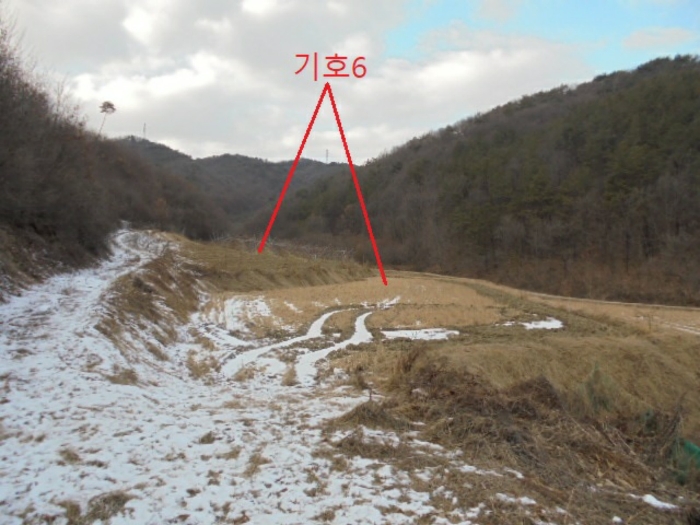 충청북도 충주시 앙성면 중전리 700-2 외 3필지 전 경매 사진 14