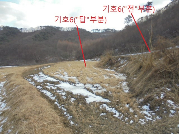 충청북도 충주시 앙성면 중전리 700-2 외 3필지 전 경매 사진 15