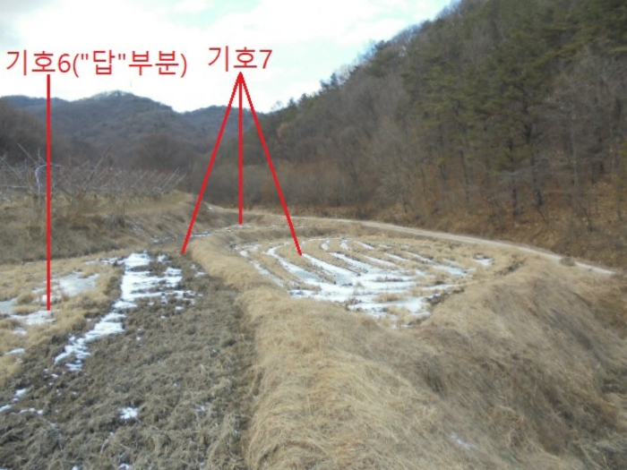충청북도 충주시 앙성면 중전리 700-2 외 3필지 전 경매 사진 17
