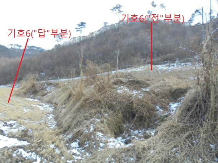 충청북도 충주시 앙성면 중전리 700-2 외 3필지 전 경매 사진 18