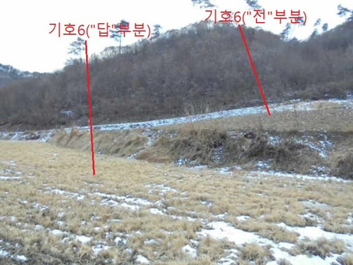 충청북도 충주시 앙성면 중전리 700-2 외 3필지 전 경매 사진 19