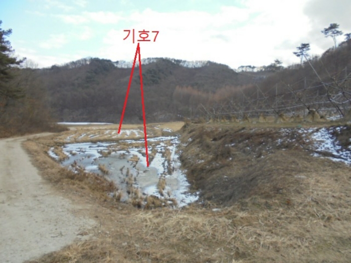 충청북도 충주시 앙성면 중전리 700-2 외 3필지 전 경매 사진 20