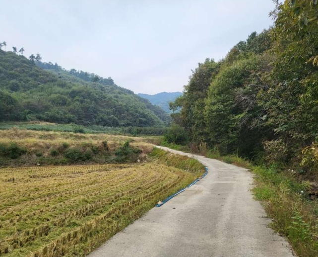 충청북도 충주시 앙성면 중전리 700-2 외 3필지 전 경매 사진 3