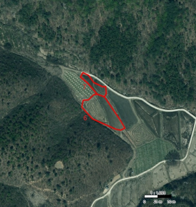 충청북도 충주시 앙성면 중전리 700-2 외 3필지 전 경매 사진 23