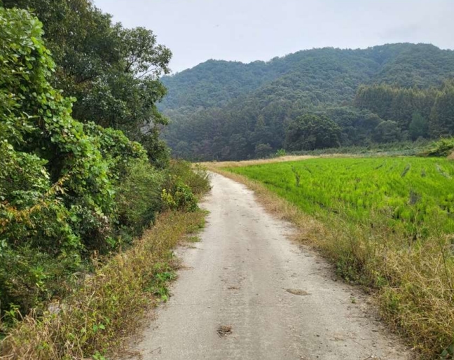 충청북도 충주시 앙성면 중전리 700-2 외 3필지 전 경매 사진 4