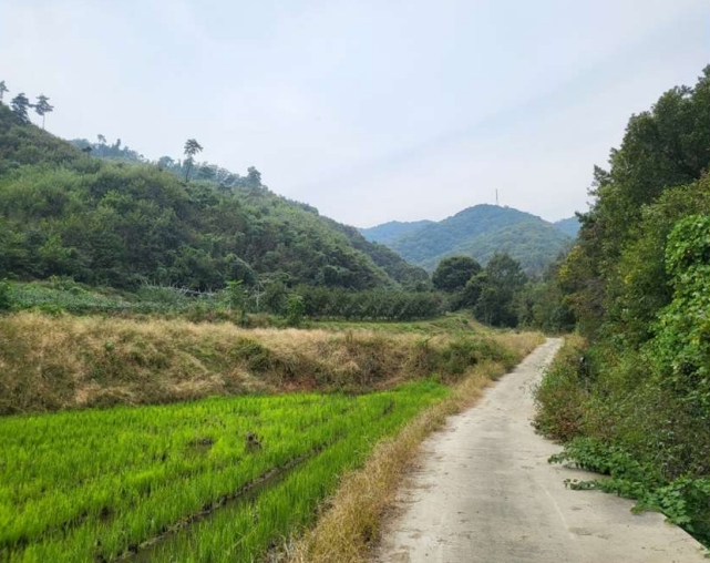 충청북도 충주시 앙성면 중전리 700-2 외 3필지 전 경매 사진 5