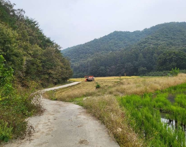 충청북도 충주시 앙성면 중전리 700-2 외 3필지 전 경매 사진 6