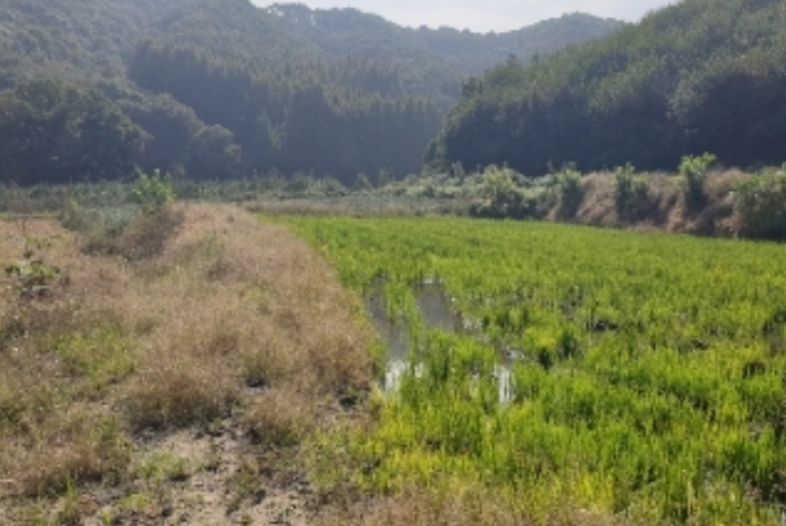 충청북도 충주시 앙성면 중전리 700-2 외 3필지 전 경매 사진 9
