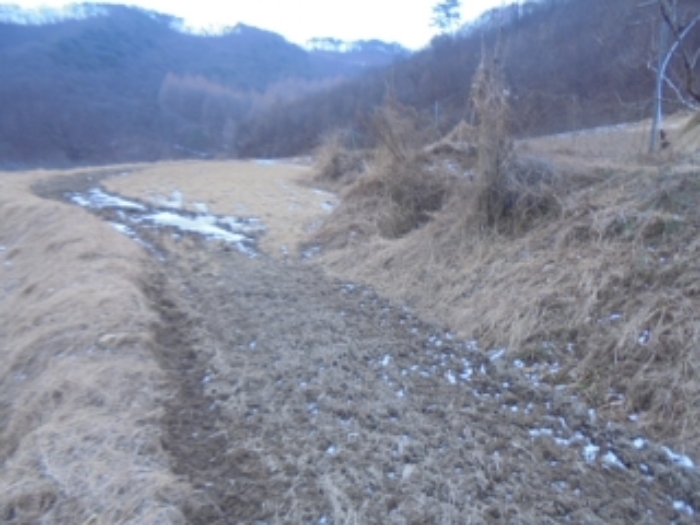충청북도 충주시 앙성면 중전리 700-2 외 3필지 전 경매 사진 10