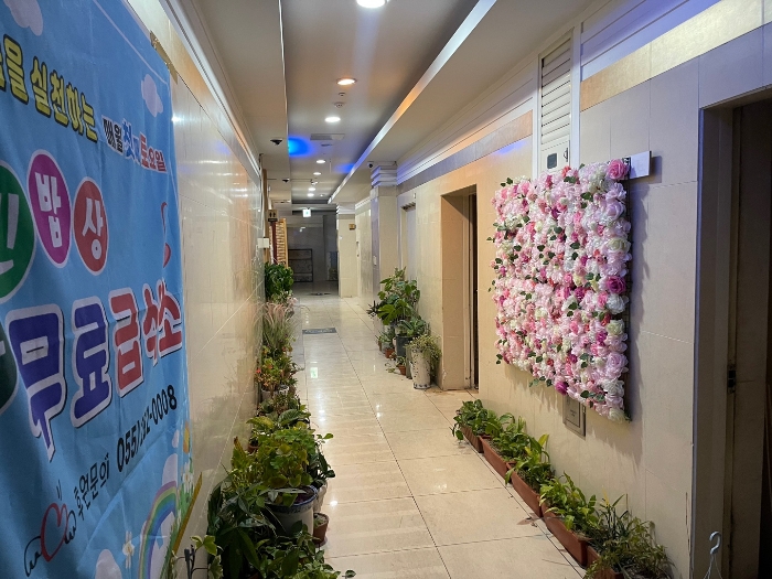 경남 창원시 마산합포구 동성동 315, 2층201호 (동성동,호텔엠에스) 근린상가 경매 사진 7