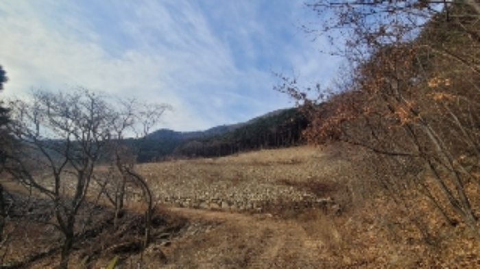 경상남도 함안군 여항면 주서리 1089 전답 경매 사진 1