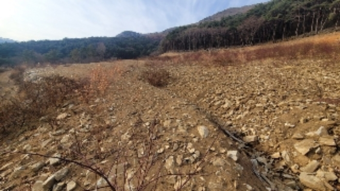 경상남도 함안군 여항면 주서리 1089 전답 경매 사진 2