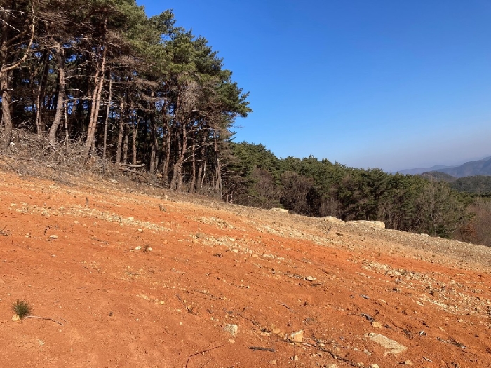 경상남도 함안군 여항면 주서리 1089 전답 경매 사진 5