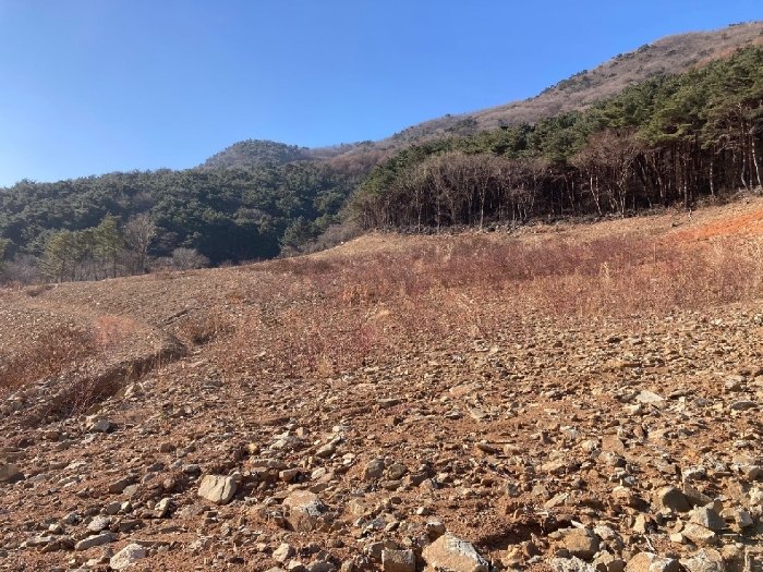 경상남도 함안군 여항면 주서리 1089 전답 경매 사진 6