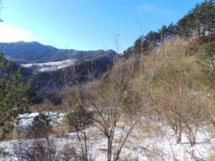 강원특별자치도 평창군 대화면 개수리 851 외 3필지 전 경매 사진 2