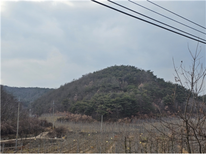 경상북도 청송군 현서면 화목리 산61 임야 경매 사진 26