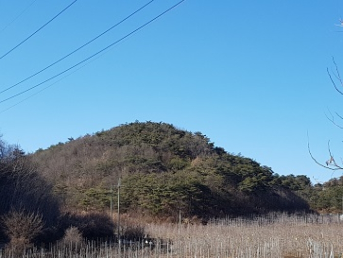 경상북도 청송군 현서면 화목리 산61 임야 경매 사진 18