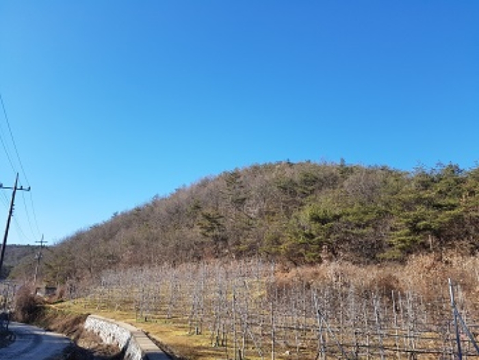 경상북도 청송군 현서면 화목리 산61 임야 경매 사진 21