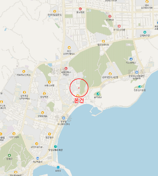 경북 포항시 북구 두호동 205-13 단독주택 경매 사진 11