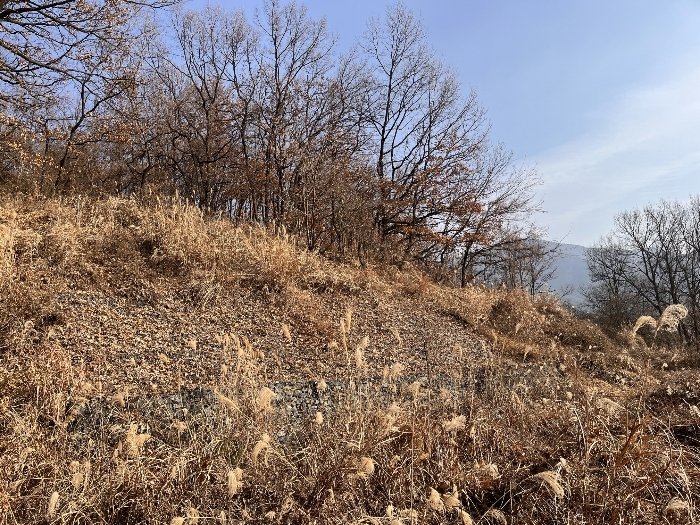 경상남도 밀양시 산내면 송백리 1033-3 외 1필지 광천지 경매 사진 8