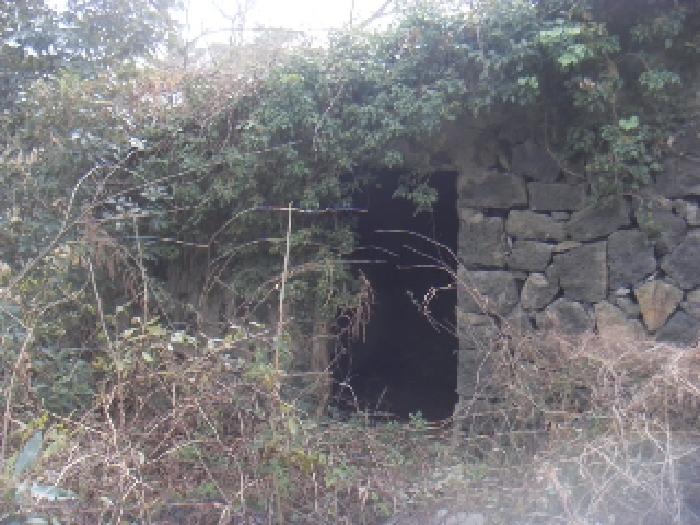 제주특별자치도 서귀포시 대정읍 구억리 산 18 외 1필지 동물및식물관련시설 경매 사진 14