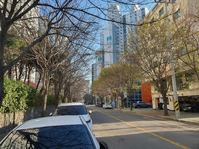 서울 마포구 토정동 3-8, 2층201호 (토정동,모던클래식하우스) 다세대주택 경매 사진 6
