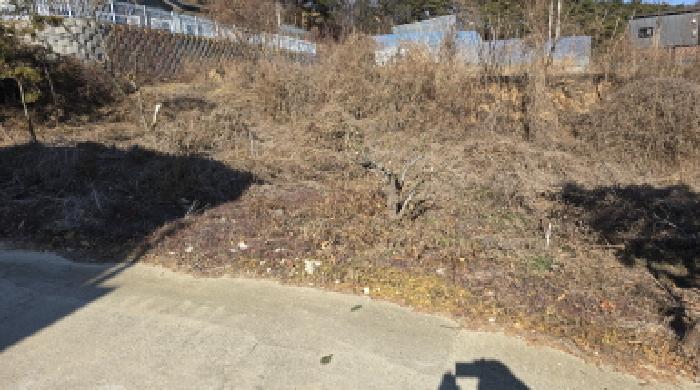 경상북도 칠곡군 기산면 평복리 928-9 외 6필지 단독주택 경매 사진 2