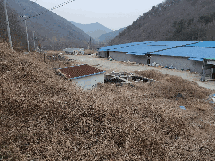 경상남도 고성군 하이면 봉원리 244 외 5필지 동물및식물관련시설 경매 사진 122