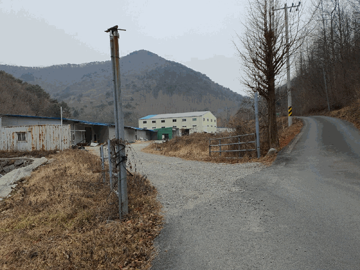 경상남도 고성군 하이면 봉원리 244 외 5필지 동물및식물관련시설 경매 사진 128