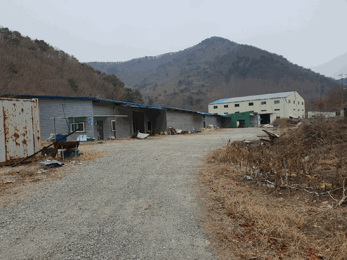 경상남도 고성군 하이면 봉원리 244 외 5필지 동물및식물관련시설 경매 사진 134