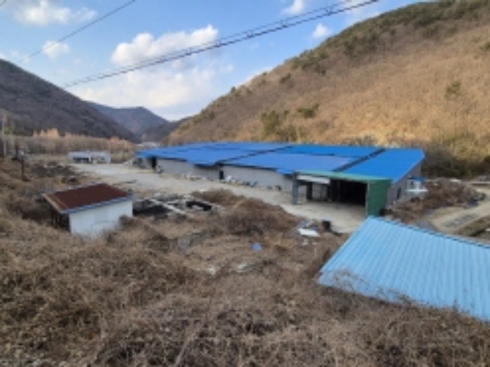 경상남도 고성군 하이면 봉원리 244 외 5필지 동물및식물관련시설 경매 사진 3