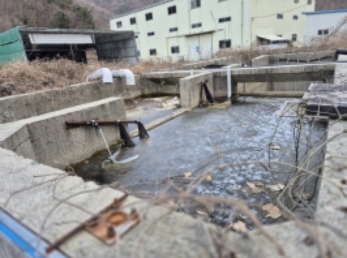 경상남도 고성군 하이면 봉원리 244 외 5필지 동물및식물관련시설 경매 사진 19