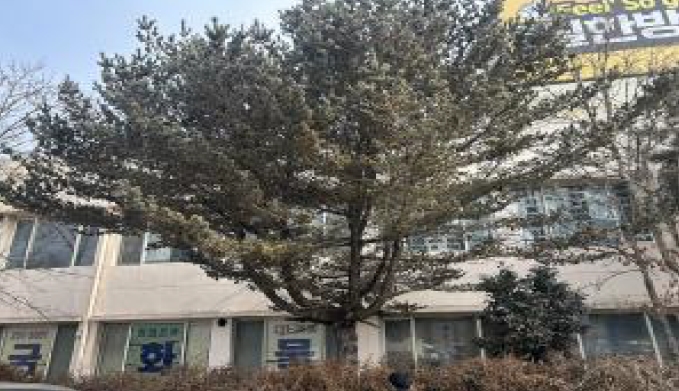충청북도 청주시 흥덕구 지동동 476 외 6필지 근린생활시설 경매 사진 5