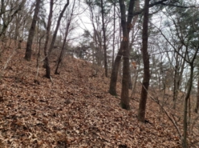 충청남도 당진시 구룡동 산191-3 임야 경매 사진 48