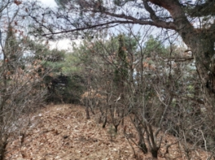 충청남도 당진시 구룡동 산191-3 임야 경매 사진 51
