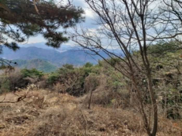 충청남도 당진시 구룡동 산191-3 임야 경매 사진 55