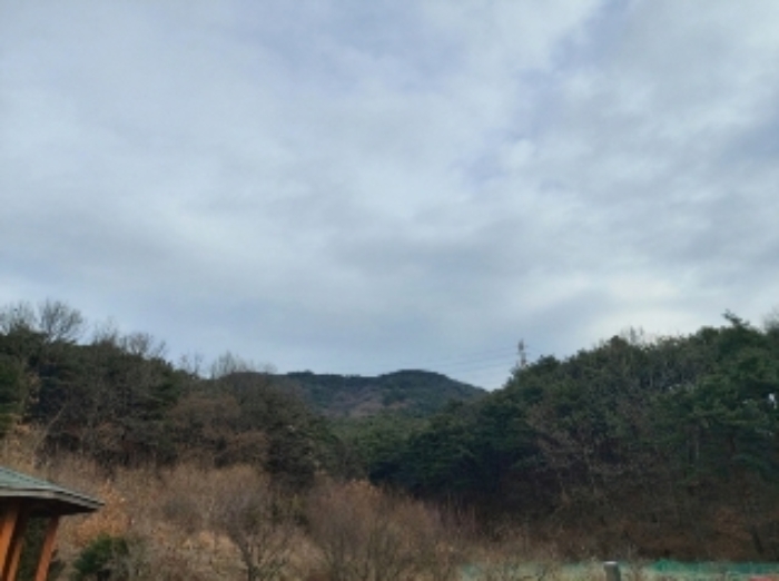 충청남도 당진시 구룡동 산191-3 임야 경매 사진 40