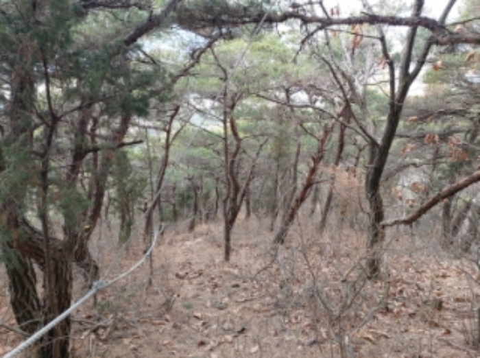충청남도 당진시 구룡동 산191-3 임야 경매 사진 58