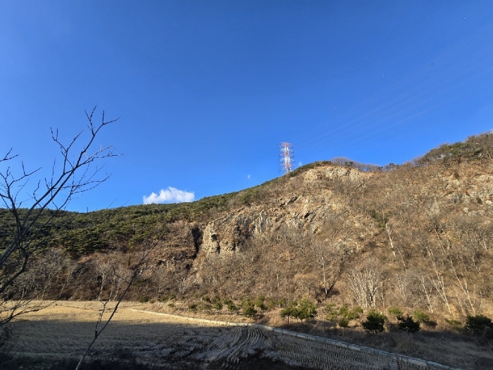 충청남도 당진시 구룡동 산191-3 임야 경매 사진 71