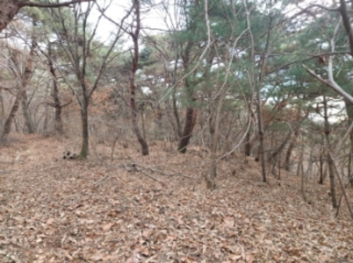 충청남도 당진시 구룡동 산191-3 임야 경매 사진 42