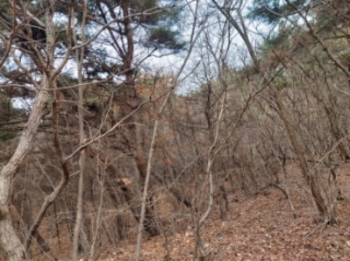 충청남도 당진시 구룡동 산191-3 임야 경매 사진 43