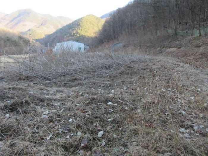 경상북도 문경시 가은읍 갈전리 56-5 전 경매 사진 13