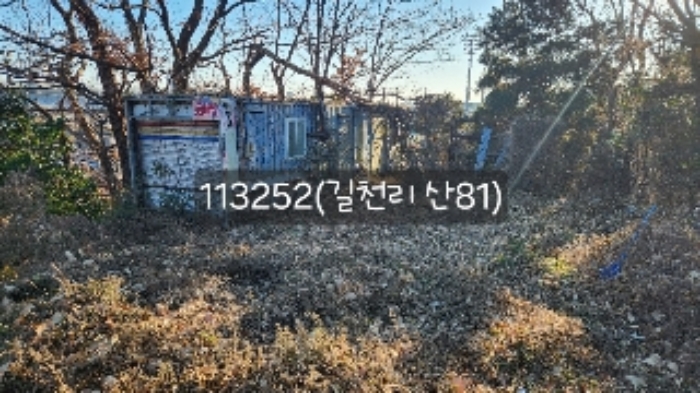 부산광역시 기장군 장안읍 길천리 산81 임야 경매 사진 2