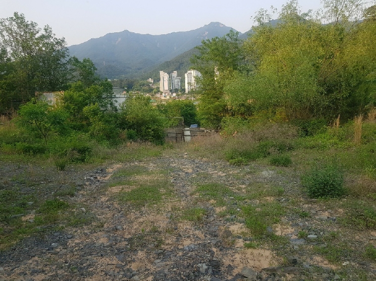 경상남도 사천시 송포동 산6-7 외 4필지 임야 경매 사진 13