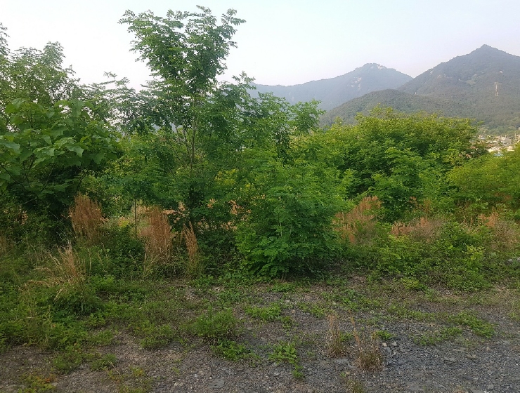 경상남도 사천시 송포동 산6-7 외 4필지 임야 경매 사진 14